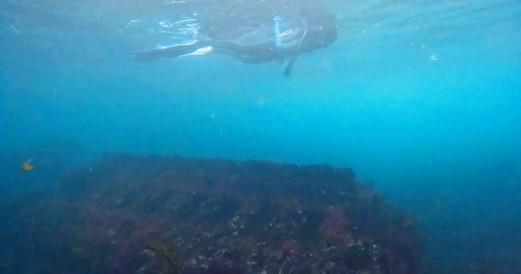 El pecio oculto de Vigo 2 bloque motor del barco hundido Mar 12 en Cabo Estai Vigo visto bajo el agua