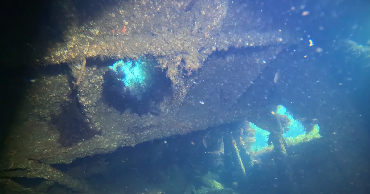 El pecio oculto de Vigo 1 Interior del pecio Mar 12 en Cabo Estai Vigo con restos del barco cubiertos de vida marina
